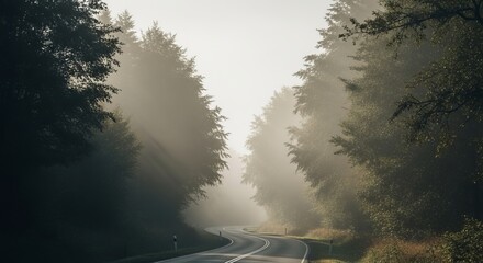 A foggy morning road surrounded by trees with soft natural blur and muted tones, evoking calm and mystery.