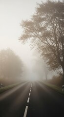 A foggy morning road surrounded by trees with soft natural blur and muted tones, evoking calm and mystery.