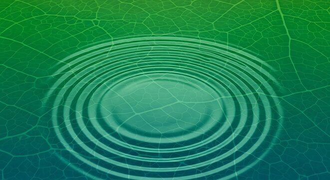 Concentric Ripples Emanating from a Central Point on a Textured Leaf Surface with a Green and Blue Gradient