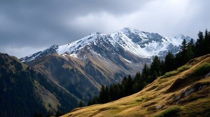 Majestic snow capped mountain ridge under stormy clouds with vibrant green pine forests and a golden alpine meadow