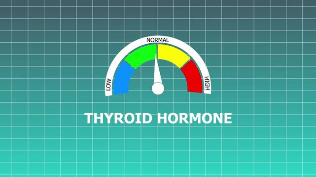Thyroid Hormone Level Indicator Gauge Showing Low Reading on Cyan Grid Background image photo