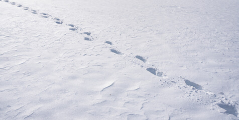 Winter footpath. Snowy steps along snow field. Footprints on snow-covered ground. Winter trail....