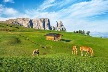 Dolomites relax on the mountains, wolking