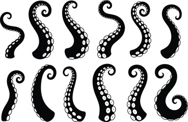 Black Silhouette Of Octopus Tentacles With Suckers On White Background sea creature marine life © MSTHUSNEWARA