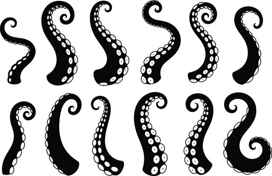 Black Silhouette Of Octopus Tentacles With Suckers On White Background sea creature marine life