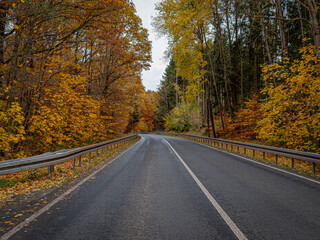 Obraz premium Road through an autumnal forest