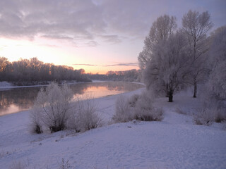 winter sunrise in the forest