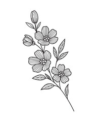 Modern Abstract Flower Bouquet Line Drawing - Decorative Graphic Element