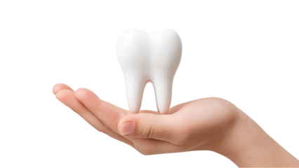 Child's Hand Holding a Clean White Tooth: Dental Hygiene Concept