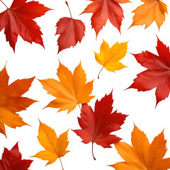 Obraz premium Vibrant Autumn Leaves — Scattered Seasonal Beauty