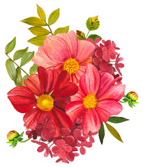 Red and pink dahlias. Arrangement of bright dahlias, leaves. Hand drawn watercolor illustration.