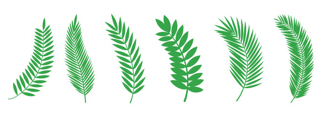 Tropical palm frond vector collection featuring graceful green leaves in curved natural shapes, botanical foliage illustration for exotic summer design, eco pattern, and nature decoration set