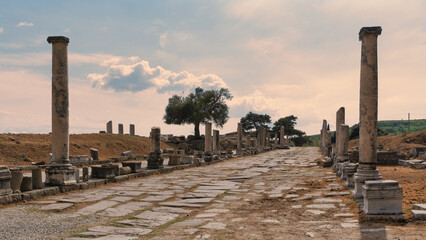 Sacred Way ruins at Asklepion, Pergamon, Bergama, Turkey. Ancient stone road lined with weathered columns under a cloudy sky, showcasing historical architecture.