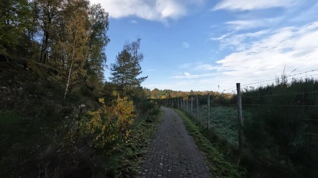 Wanderroute Tweelingterril im Nationalpark Hoge Kempen im Herbst in Limburg Belgien