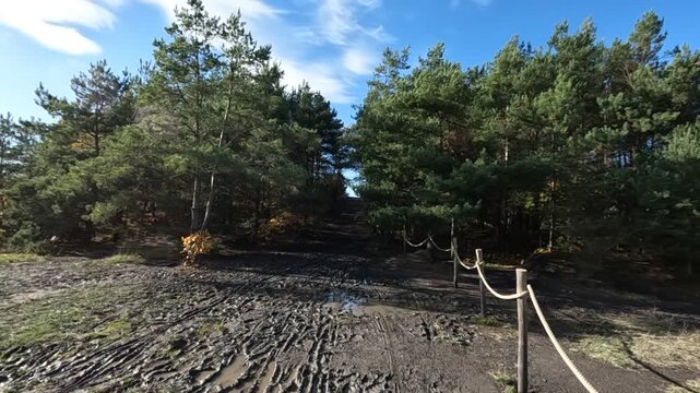 Wanderroute Tweelingterril in der Herbstsonne im Nationalpark Hoge Kempen in Limburg Belgien
