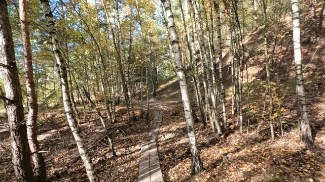 Wanderroute Tweelingterril in der Herbstsonne im Nationalpark Hoge Kempen in Limburg Belgien