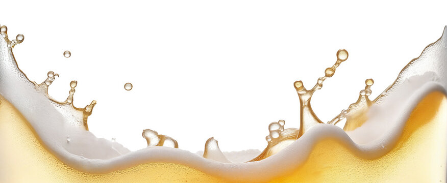 beer splashes, foam on a transparent background