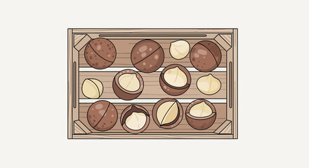 Fresh Macadamia Nuts Arranged Neatly in a Wooden Crate, Artistic Presentation