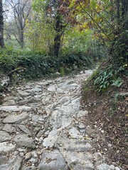 A rugged ancient stone path winds through dense woodland forest, surrounded by lush greenery and moss-covered rocks.