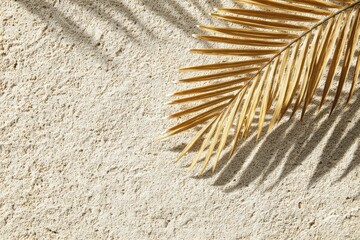Dried golden palm leaf on beige sand, sunlit shadows