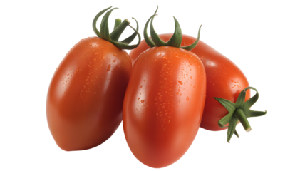 Fresh plum tomatoes glistening with water droplets, perfect for healthy cooking recipes and vibrant food photography projects, adding a touch of summer freshness