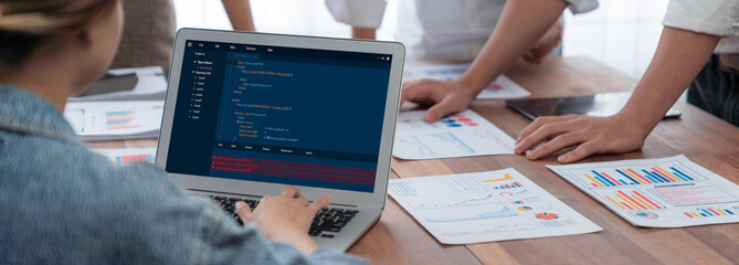 Software development programming on computer screen for brisk application and program coding