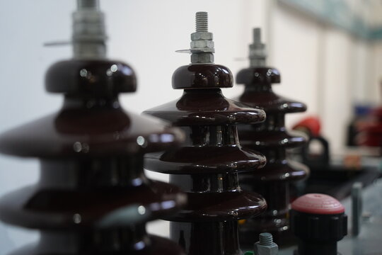 Insulators for high-voltage power transmission lines.