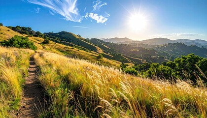 Golden Hour Sunlight Illuminates Dry Grass Path on Rolling Hills Overlooking Distant Cityscape Under a Bright Blue Sky