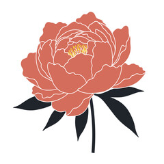 Elegant Coral Peony Flower with Dark Leaves Illustration © AzUrier