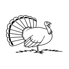 Turkey Side View with Fanned Feathers Line Art Vector, Minimal Thanksgiving Bird Illustration, Elegant Turkey Outline, Thin Line Autumn Turkey Vector

