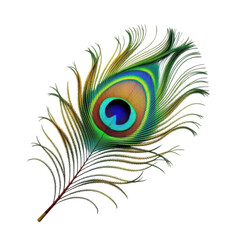 Obraz premium Exquisite peacock feather detail vibrant colors iridescent eye pattern close-up nature beauty isolated on transparent background