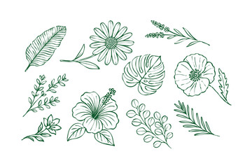 Vintage botanical hand drawn line art floral and leaves collection vector illustration for invitation templates, packaging design or decorative elements