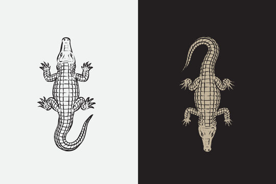 Vintage crocodile hand drawn style vector illustration for wildlife logo, adventure branding, tattoo design
