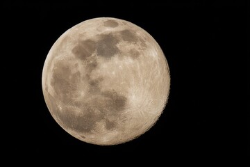 Full moon, earth's satellite, in night sky.  Detailed surface textures visible