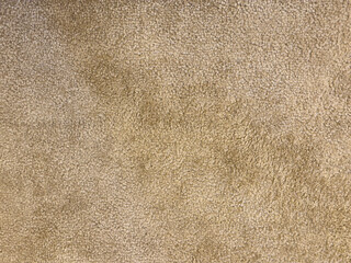 texture of wool carpet background