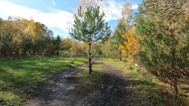 Wanderroute Tweelingterril in der Herbstsonne im Nationalpark Hoge Kempen in Limburg Belgien