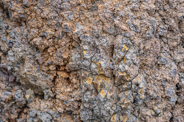 Weathered basalt. Koʻolau Range / shield volcano. Moanalua Valley & Moanalua Ridge Trail to the Haiku Stairs (Stairway To Heaven), Honolulu, Oahu, Hawaii. Koolau Basalt / Tholeiitic basalt. Oxidized