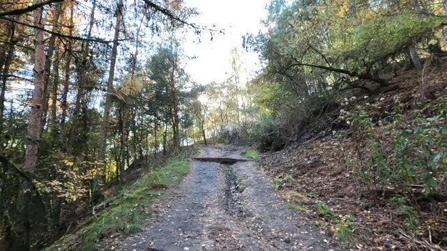 Wanderroute Tweelingterril in der Herbstsonne im Nationalpark Hoge Kempen in Limburg Belgien