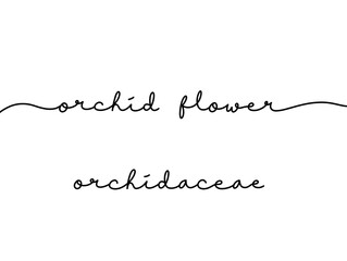 Elegant Handwritten Script of Orchid Flower and Orchidaceae