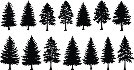 Coniferous tree silhouettes, pine fir spruce icons, evergreen forest shapes, black foliage design set, woodland nature illustration, botanical landscape elements, flat vector