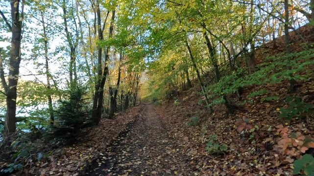Wanderroute Tweelingterril in der Herbstsonne im Nationalpark Hoge Kempen in Limburg Belgien