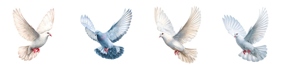 Obraz premium Peace Doves Set - White Pigeons Flying on White Background