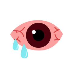 conjunctivitis eyes allergy infection disease