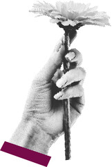 Creative art collage of hand holding a flower