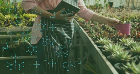 Technician wearing apron lifting pink pot and using tablet in greenhouse, with formula graphics