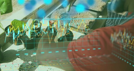 Planting friends in red shirt striped apron arranging seedlings on sunny terrace bench line chart