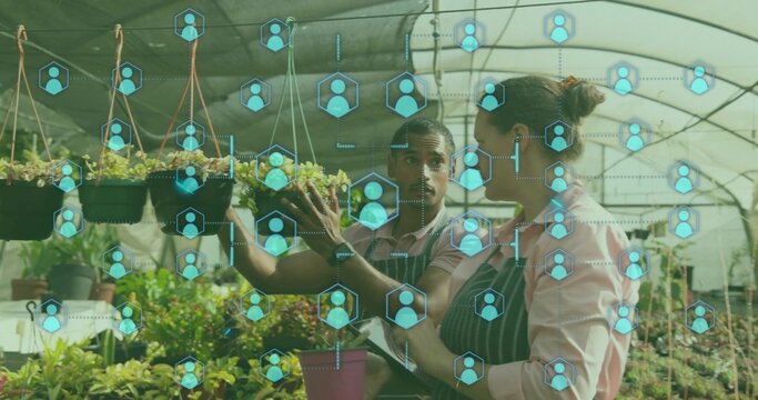 Plant caretakers wearing aprons examining hanging seedlings in greenhouse, with digital icons