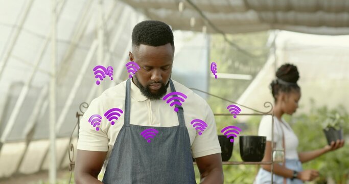 Horticultural worker wearing denim apron inspecting plant in greenhouse, with purple wireless icons - Powered by Adobe