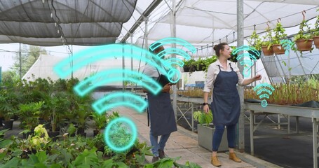 Inspecting two workers wearing aprons checking plants using tablet in nursery with cyan WiFi icons