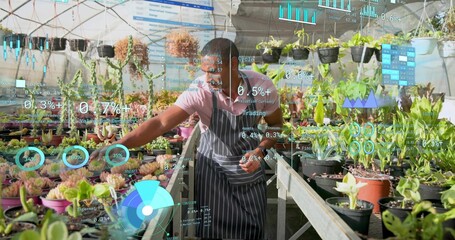 Inspecting mid-adult man in striped apron checking succulents at greenhouse, with digital overlays